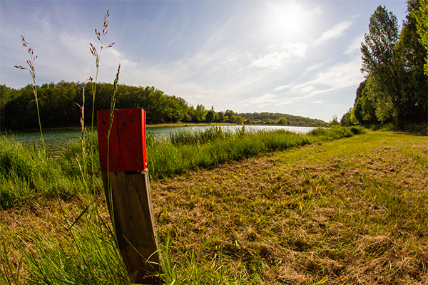 Activites de plein air, course d'orientation le bois des elfes gourdon